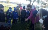 воспитанники детского сад а сажают свою яблоньку